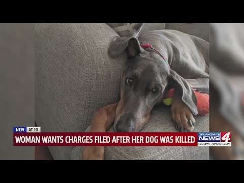 Woman wants charges filed after her dog was killed