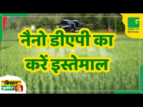 नैनो डीएपी का करें इस्तेमाल | Kisan Bulletin | 24-12-2024