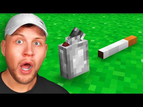 ILLEGALE Minecraft Mods gekauft! 😱