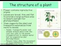 Plant Water Transport and Transpiration