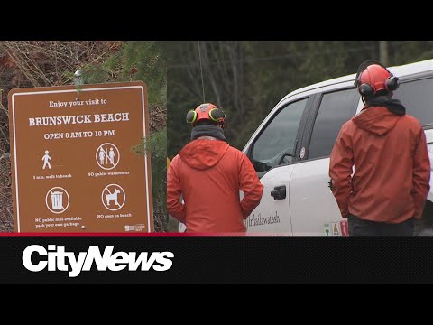 Second missing person found dead after Lions Bay mudslide