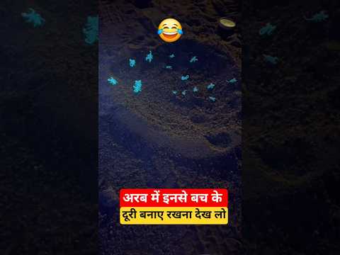 अरब में इनसे बच के दूरी बनाए रखना 😭🙏 | Traffic, Symbol #traffic #trafficrules #shorts @Upwala_vlog