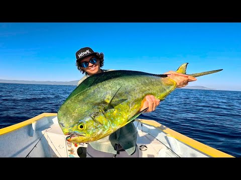 Pesca en Aguas REPLETAS de Pez Gallo, Dorados y más en Baja California Sur!