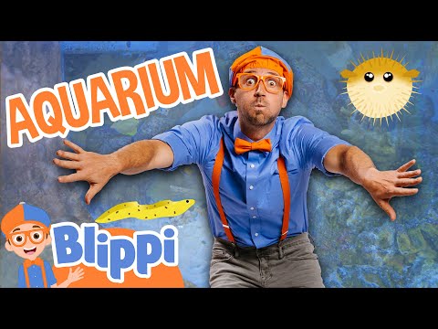 Blippi Makes A Splash At The Marine Aquarium 🌊 Sea Animals for Kids | Educational Videos for Kids