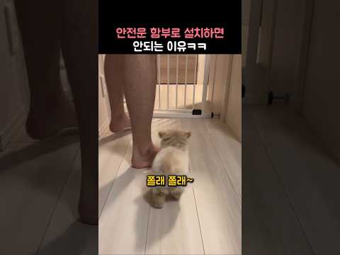 함부로 안전문 설치하면 안되는 이유ㅋㅋ