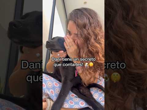 Les dejé una pista del lugar al que va Dani en el video!!! La visteee?? 🤫 jajaja #perros #adopta