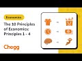 Economic Decision-Making Concepts