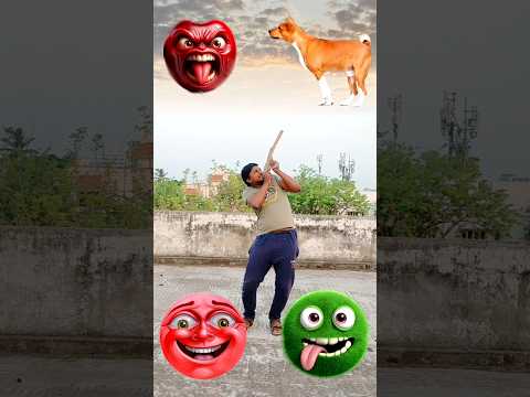 dog cat goat rabbit funny VFX magic video from 4 different kinds of heads कुत्ता बिल्ली खरगोश बकरी