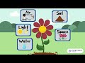 Plant Growth and Needs Assessment