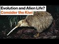 Evolutionary Paths on Earth