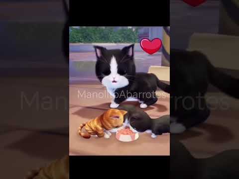 GATOS cuando NADIE los MIRA 🐱🐯 #shortvideo #humor #cortosclip #funnymeme #parodia #gta #clipsstream