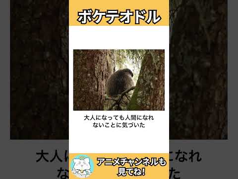 【ネコガミ】動物でボケテオドルPart161