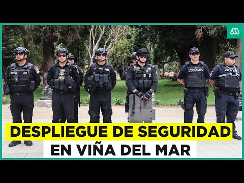 Viña del Mar fortalece seguridad: Se han realizado más de 100 operativos en un mes