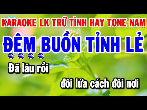 Karaoke Liên Khúc Nhạc Trữ Tình Dễ Hát Tone Nam | Đêm Buồn Tỉnh Lẻ – Nhớ Nhau Hoài | Thanh Hải