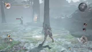 【仁王】ノーデスチャレンジnew game近江篇　魔王耀変～