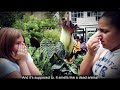 Natural Wonders and Environmental Concerns