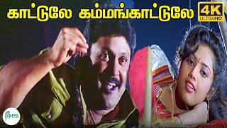 காட்டுல கம்பகாட்டுல | Kaatule Kambakaatule | S.P.Balasubrahmanyam, S.Janaki | Ilaiyaraaja | HD Song