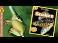 Understanding Snakes