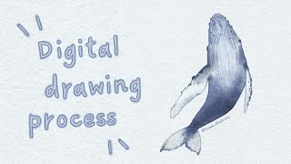 Humpback Whale | Digital Art Process in Krita Using Watercolor Brushes ✨