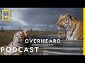 Understanding Tiger Tourism and Conservation