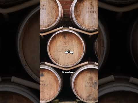 قصة المربية والعائلة الغنية ✨ #قصص_بالدارجة #المغرب #قصص_واقعية #قصص