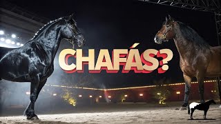 Porque Las Cruzas de Frisón: ¿Son Caballos Chafas? 🐴-Del Cerro Soy