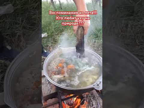 Настоящая уха!!! Готовится только так!!! Приготовление ухи!!! #рыбалка #клубрыбаков #fishing #уха