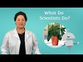 Scientific Method and Plant Experiment Concepts