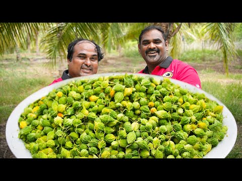 Baby Bitter gourd Village Style Cooking | Bitter gourd Recipe | WORLD FOOD TUBE