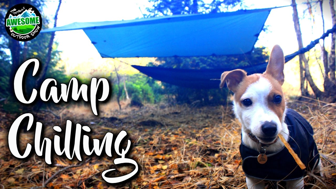 Day Camp - Hammock, Tarp and Chill in the Woods