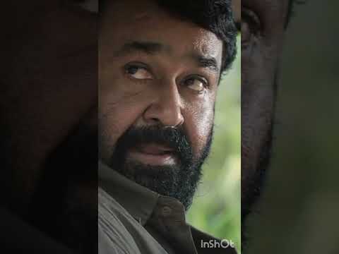 എന്താ ഈ പട്ടി ഇങ്ങനെ..