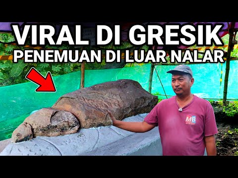 VIRAL..! PENEMUAN VIRAL DI GRESIK HEBOH WARGA