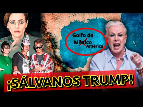 4 MEXICANOS Que DESEAN Que Los SALVE DONALD TRUMP | Los Expulsados