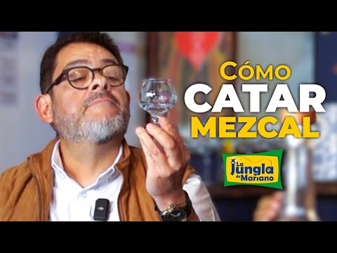 ¿Sabes cómo CATAR Mezcal?