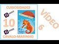 Diferenças entre Machos e Fêmeas