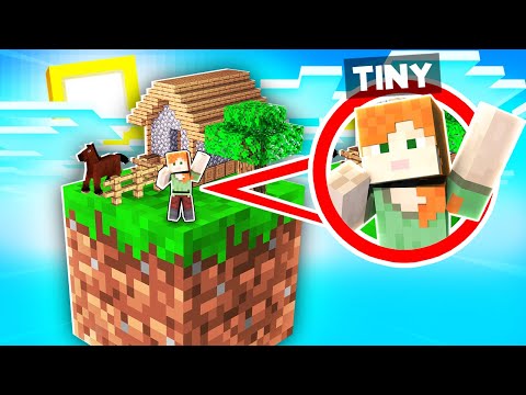 BUILDING A TINY FARM ON ONE BLOCK