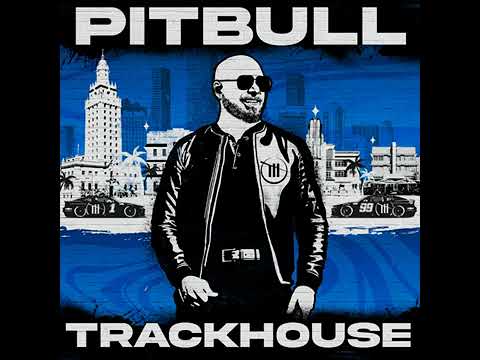 Pitbull x Vikina - Let's Take A Shot