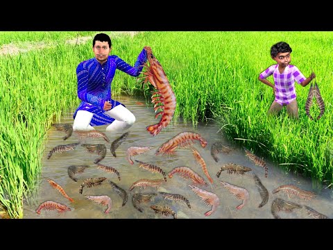 Prawns Farming in Rice Field Catching Prawns Hindi Kahaniya Hindi Stories Hindi Moral Stories