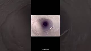 Fulling inside hole # #goviral #viral #comedy #funny #shorts #viralvideo #funny