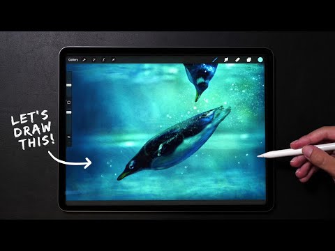 Drawing Realistic Underwater World | My Procreate Digital Art Technique