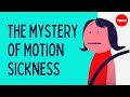 Understanding Motion Sickness