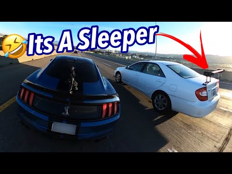 Shelby GT500 Runs Into The Ultimate Sleeper Car!