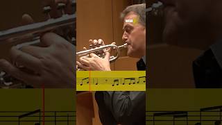 Rondo from Hummel's #trumpet concerto 🎺