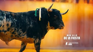Más allá de la fiesta: Náquera - Tráiler oficial | Toros en España Play
