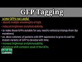 Green Fluorescent Protein Concepts