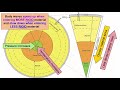 Earth's Internal Structure and Seismic Waves