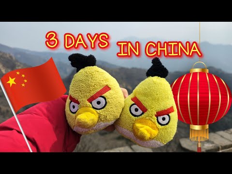 Yellow Bird Family Goes To CHINA 🇹🇼