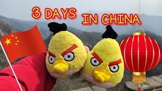 Yellow Bird Family Goes To CHINA 🇹🇼