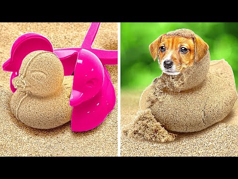 We Found a Dog in the Sand 😱| Best Hacks for Pet Owners