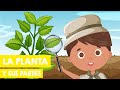 Understanding Plants and Their Parts